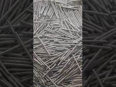 Platin-Iridium-Feder