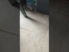 DLX Medizinische Platin-Iridium-Kapillaren