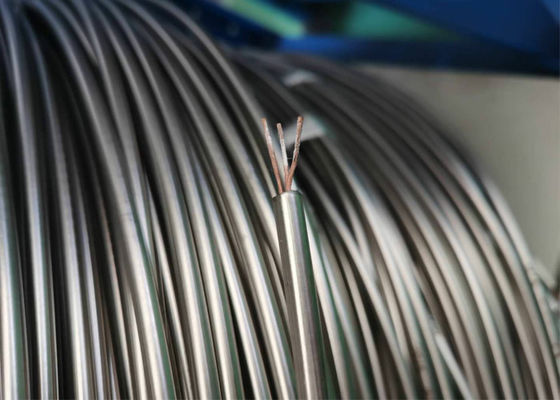Guter Preis SS316 12.7mm Art Mineralisolierkabel-Thermoelementleitung TPs TN T MI Online